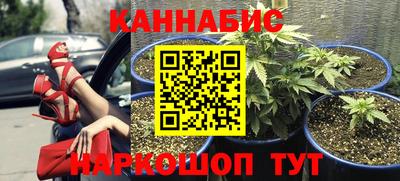 дурь Будённовск