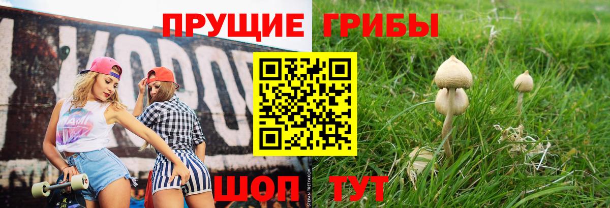 где продают наркотики  Вход с VPN  Изобильный  Галлюциногенные грибы мицелий 